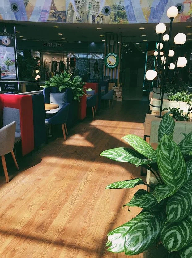 фото ресторана #6032