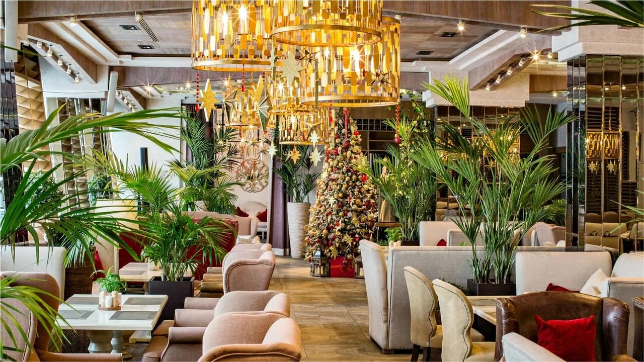 фото ресторана #2093