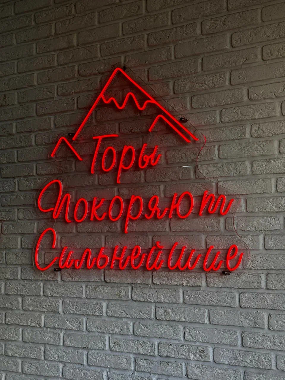 фото ресторана #6577