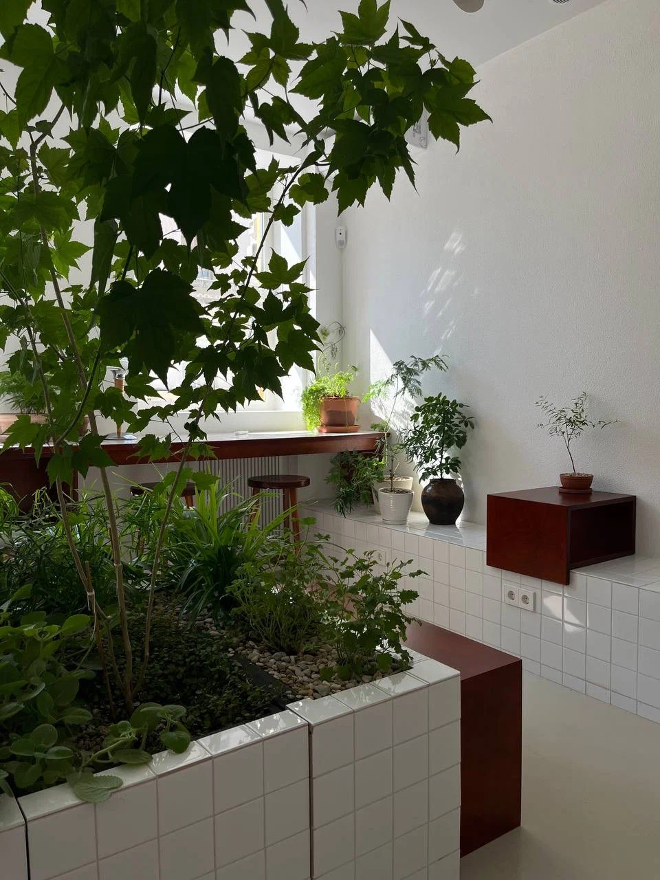 фото ресторана #3