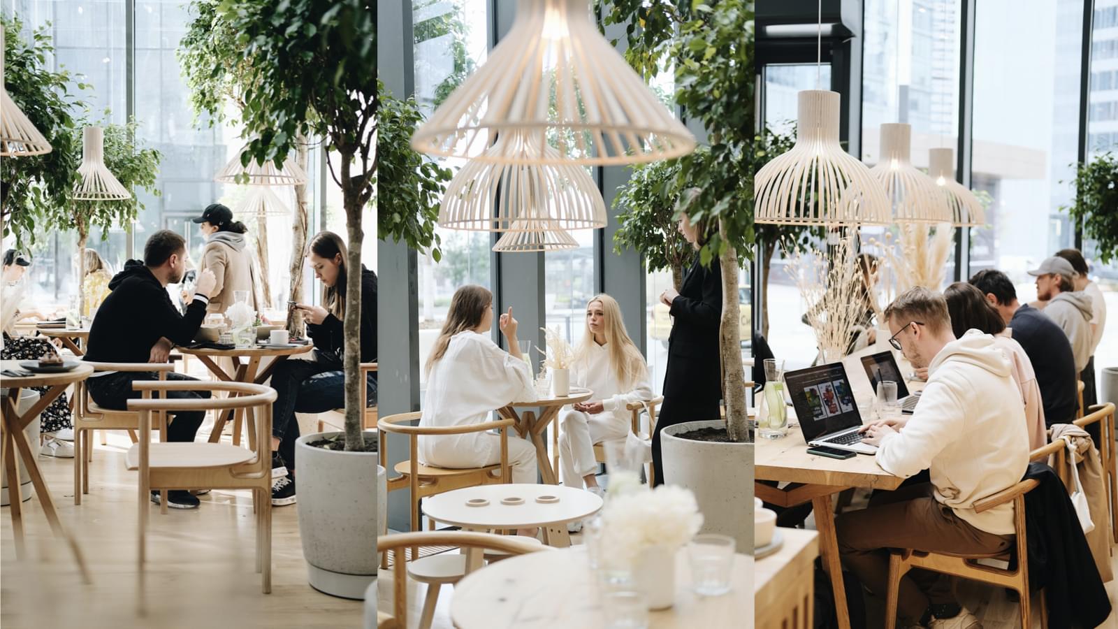 фото ресторана #11161