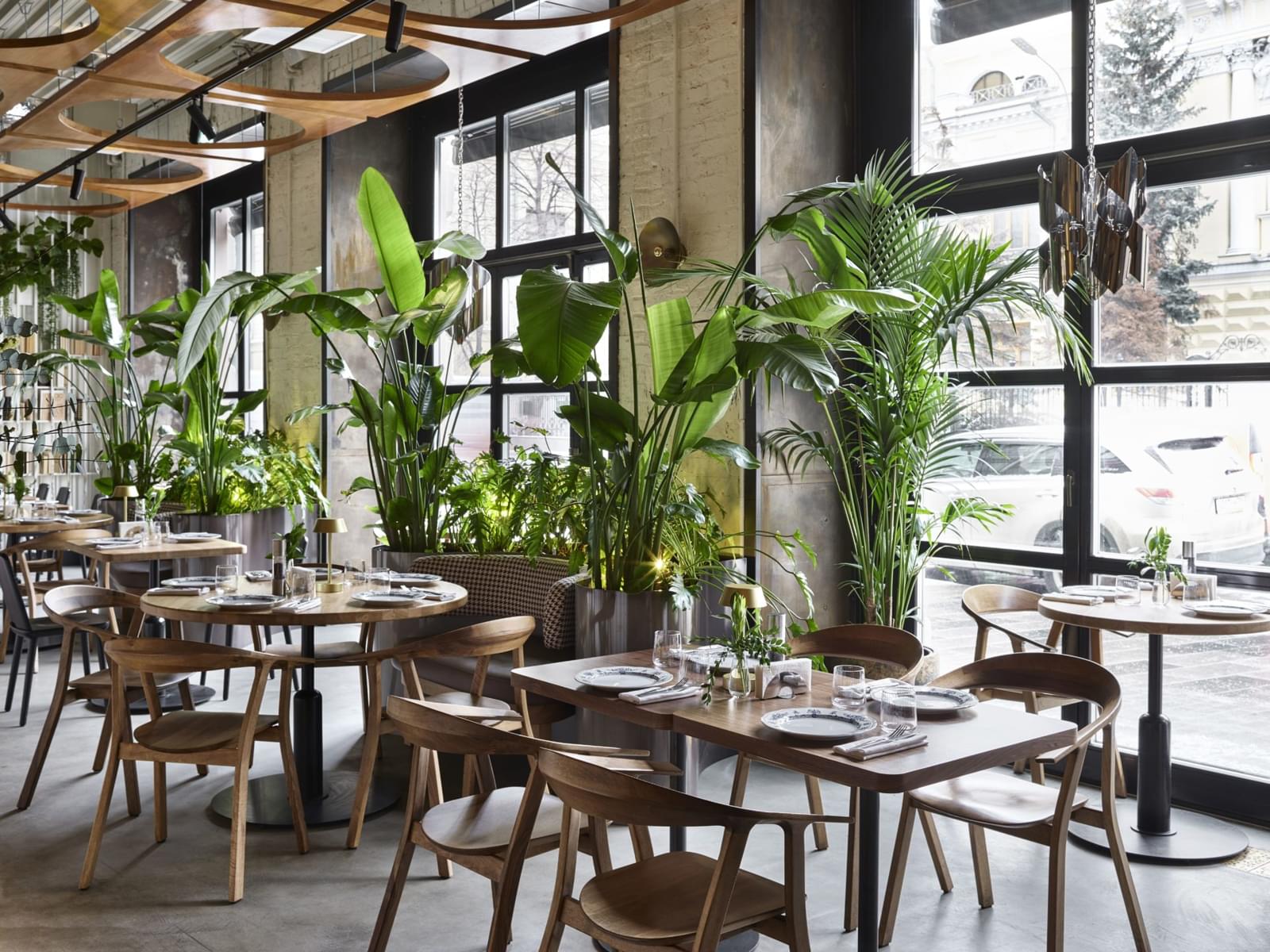 фото ресторана #1800