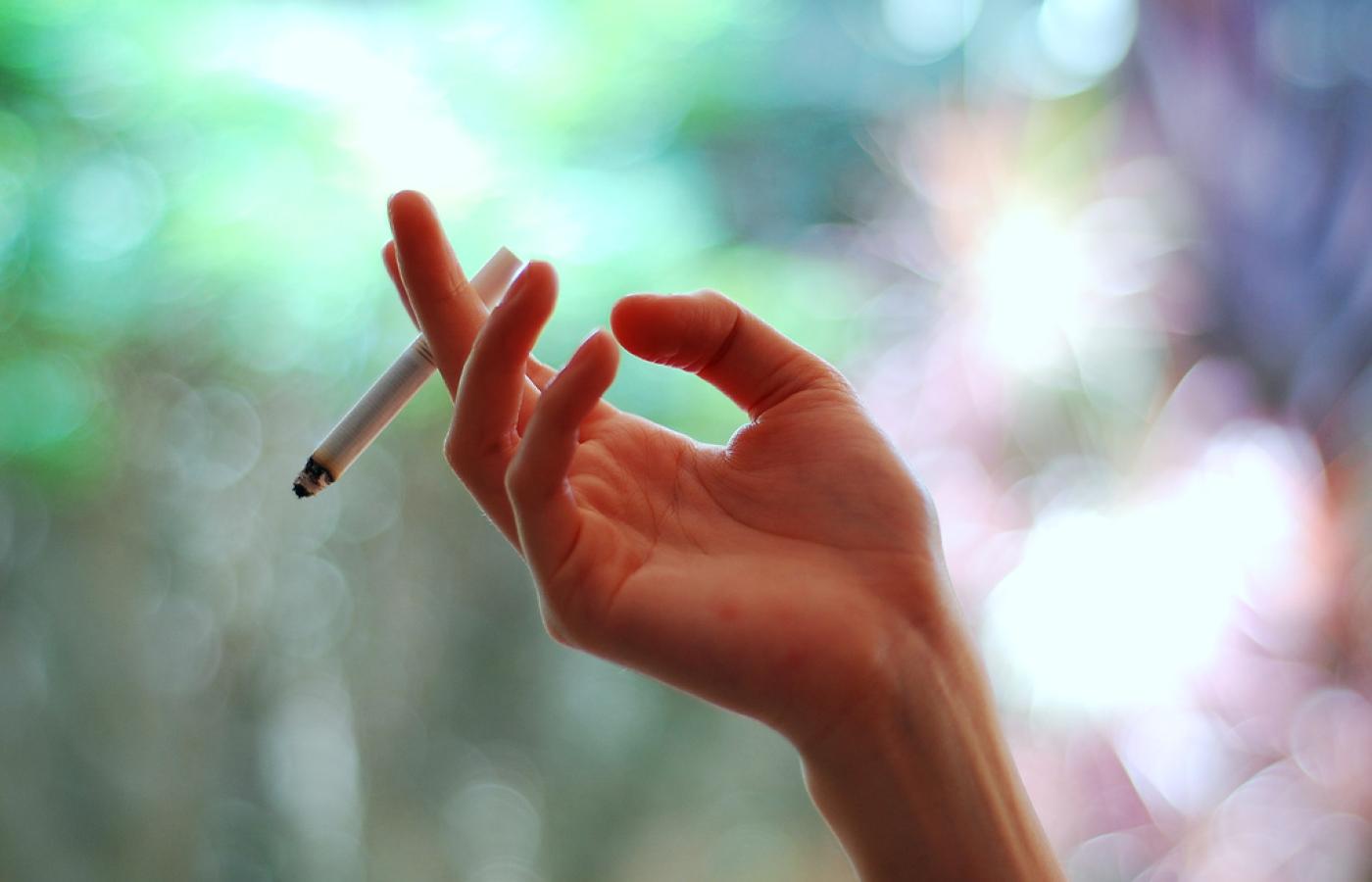 обложка статьи ibput307wy2ql18w3hn0dvy8