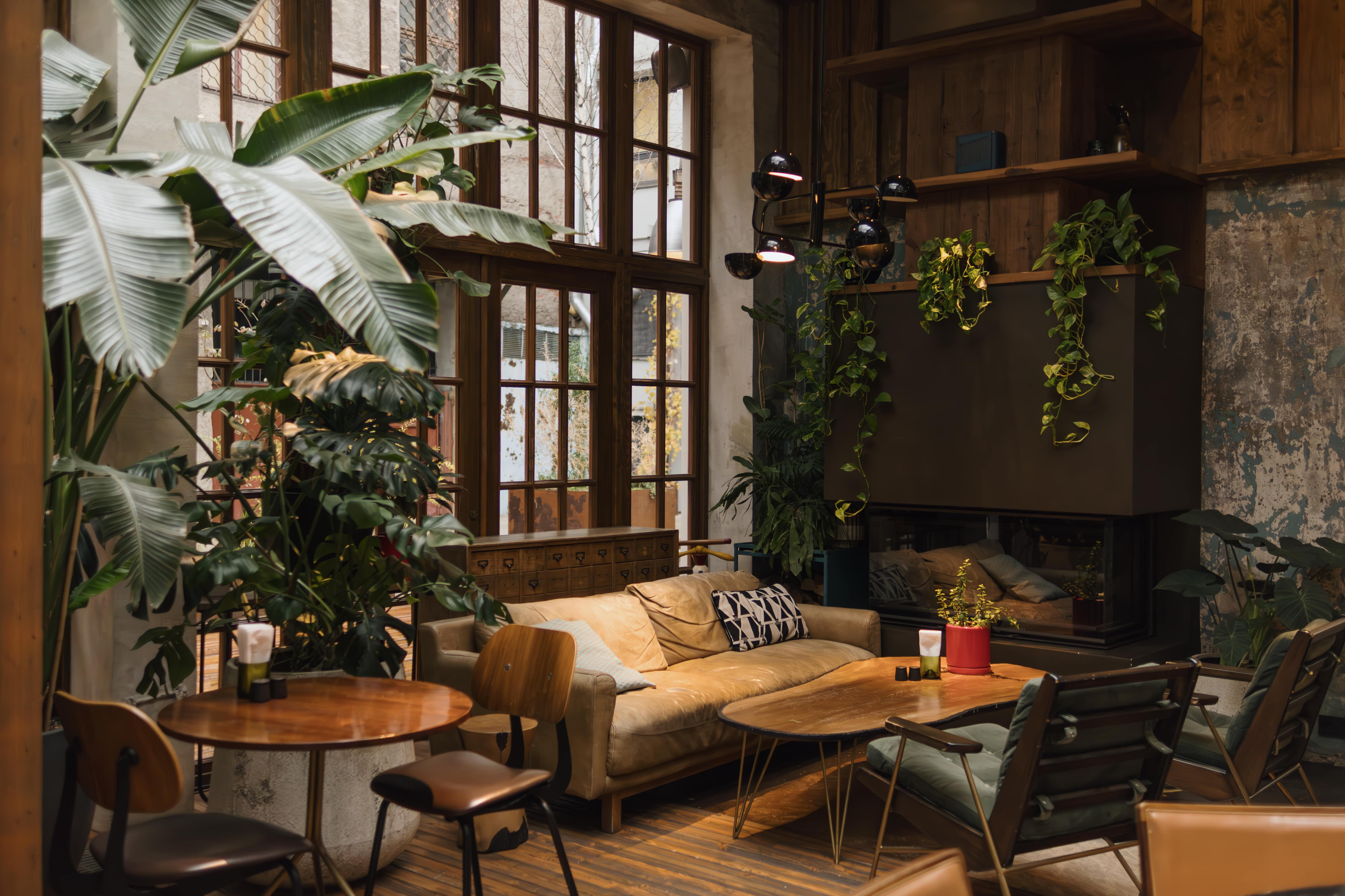 фото ресторана #8095