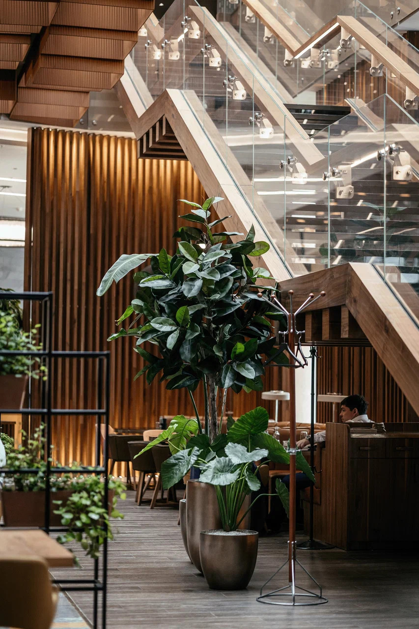 фото ресторана #4181