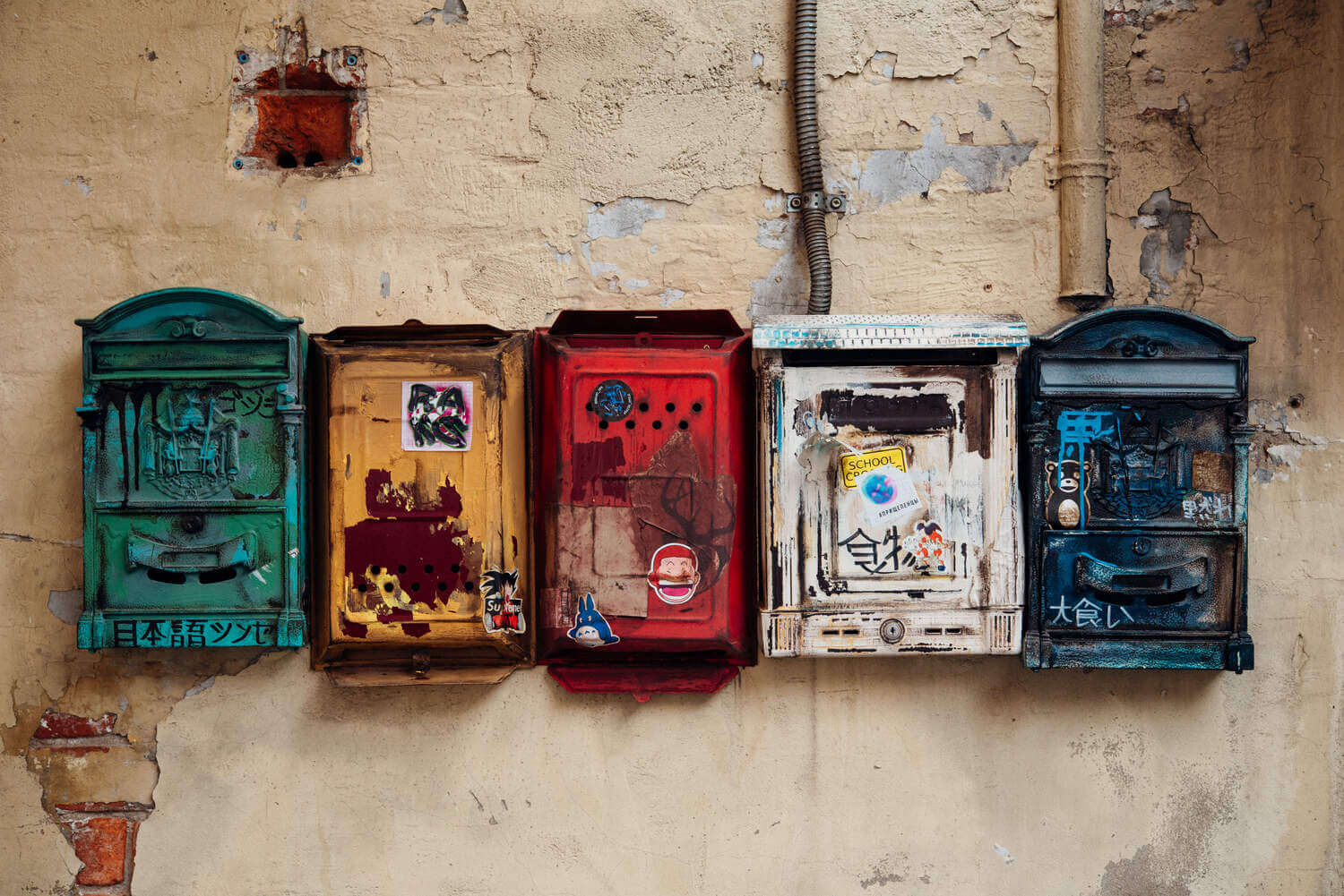 фото ресторана #1