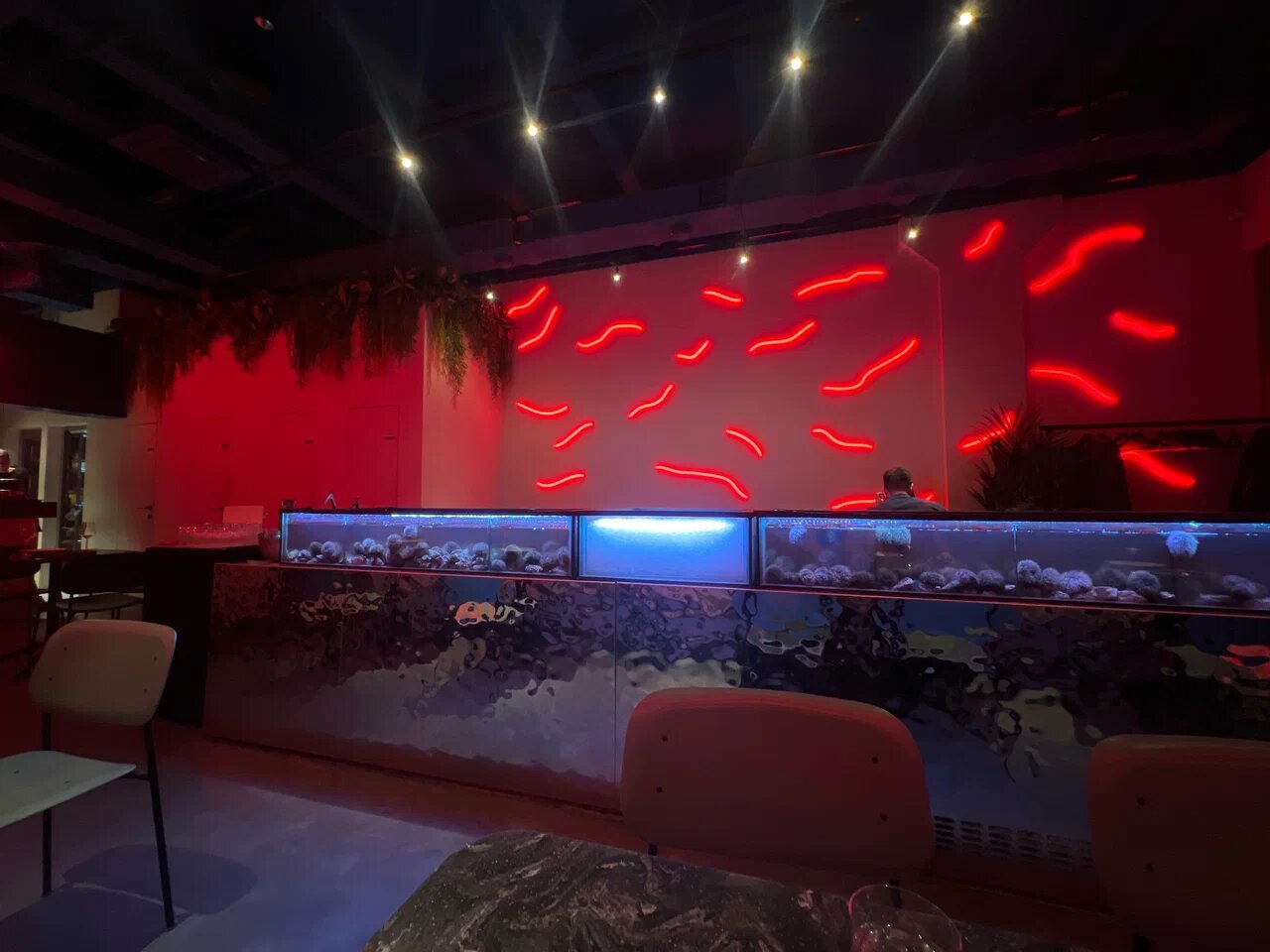 фото ресторана #11511