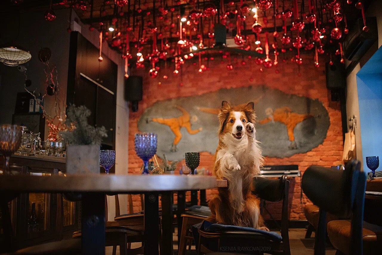 фото ресторана #4510