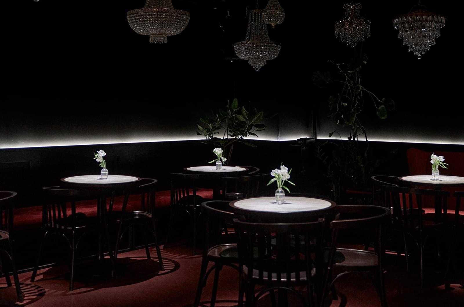 фото Журавли