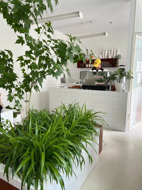 фото ресторана #1