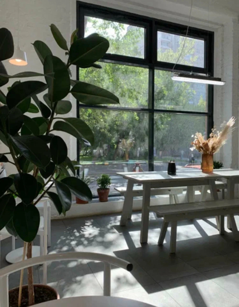 фото ресторана #5349