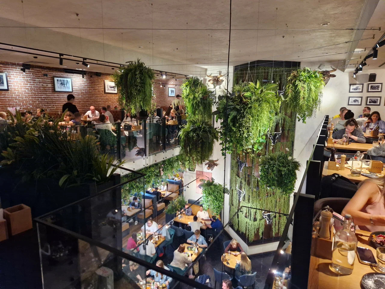 фото ресторана #3