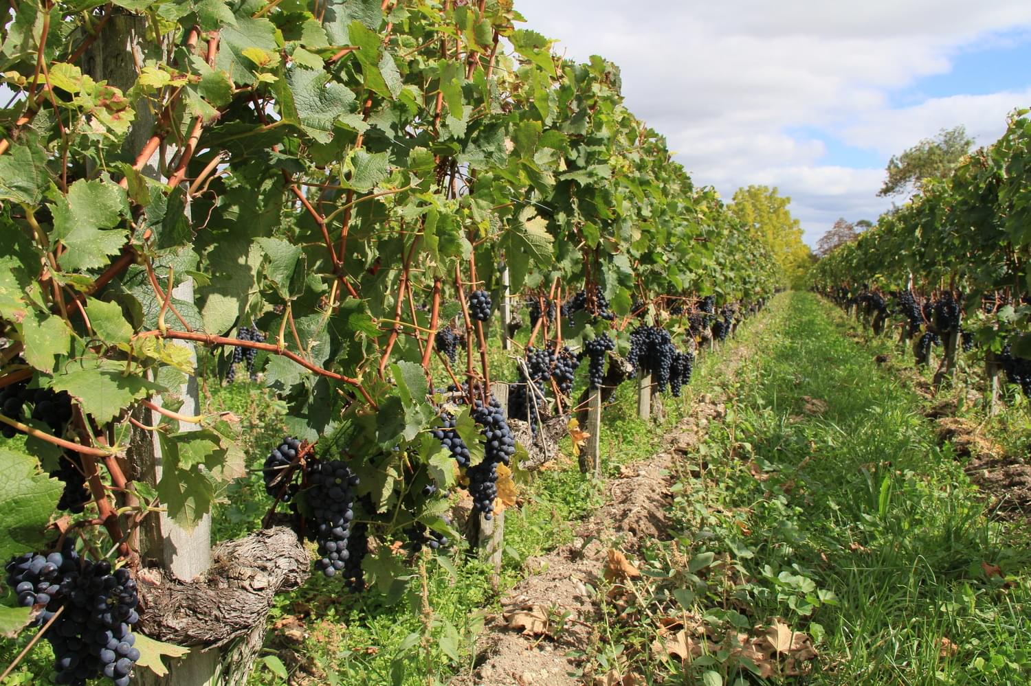 обложка новости