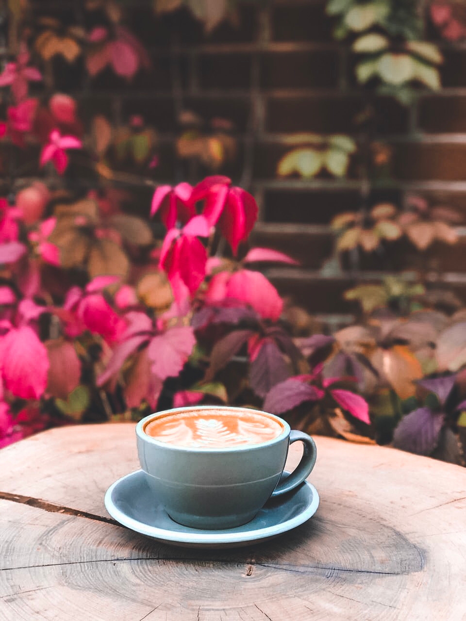 фото ресторана #2