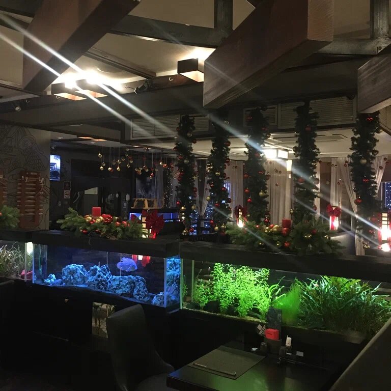 фото ресторана #1038