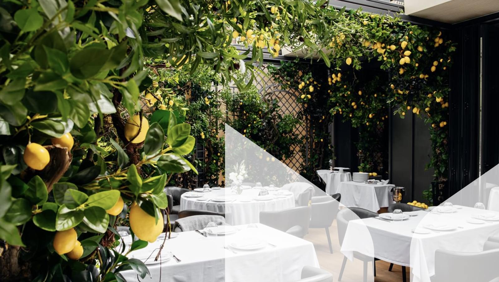 обложка статьи jxssdquxiw7lcnm68nn6kv1g