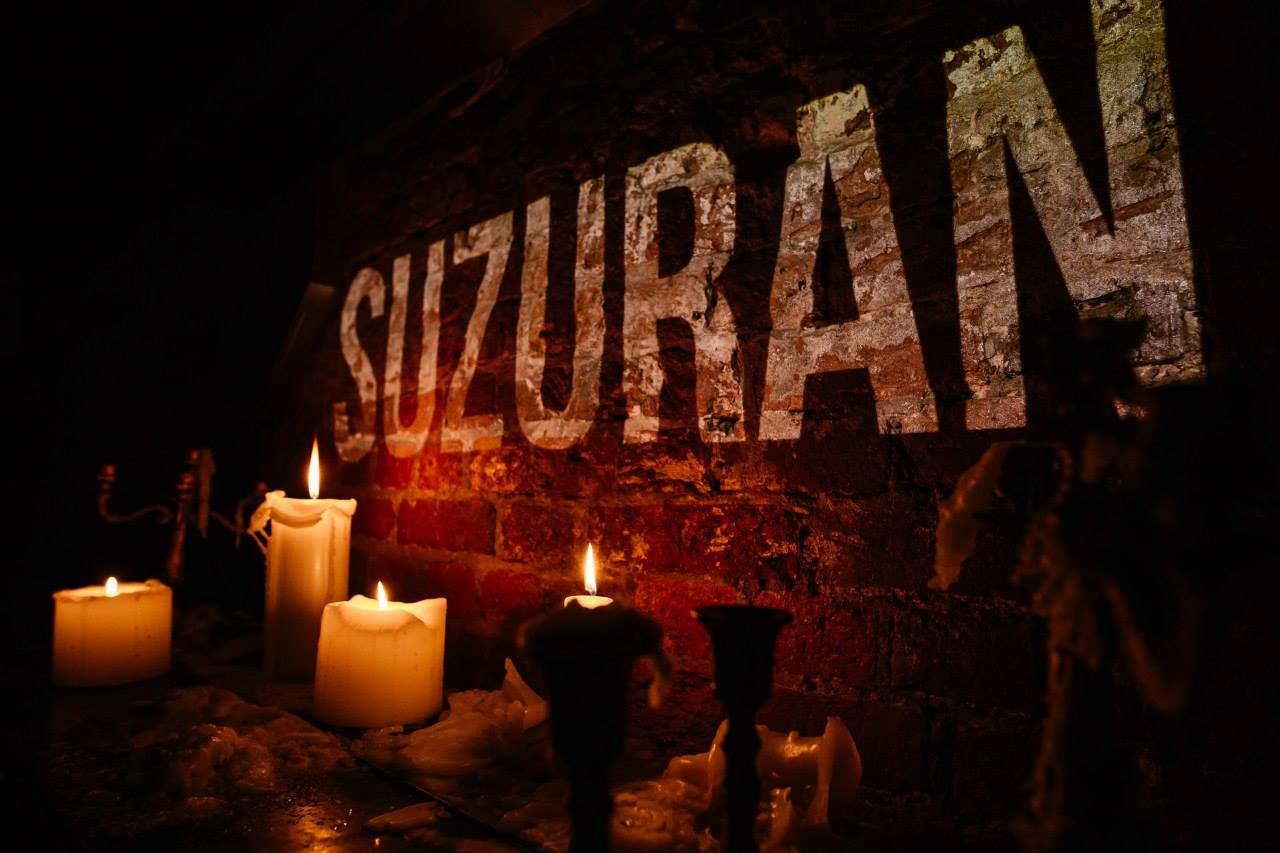 фото Suzuran