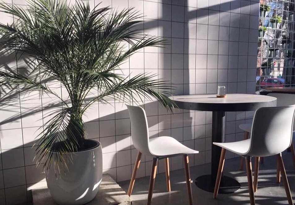 фото ресторана #4467