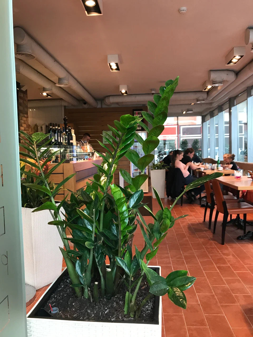 фото ресторана #3014