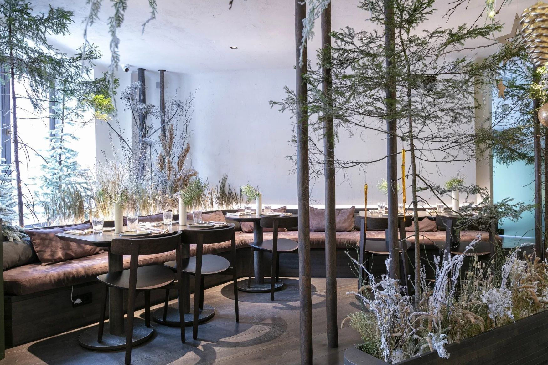 фото ресторана #1783