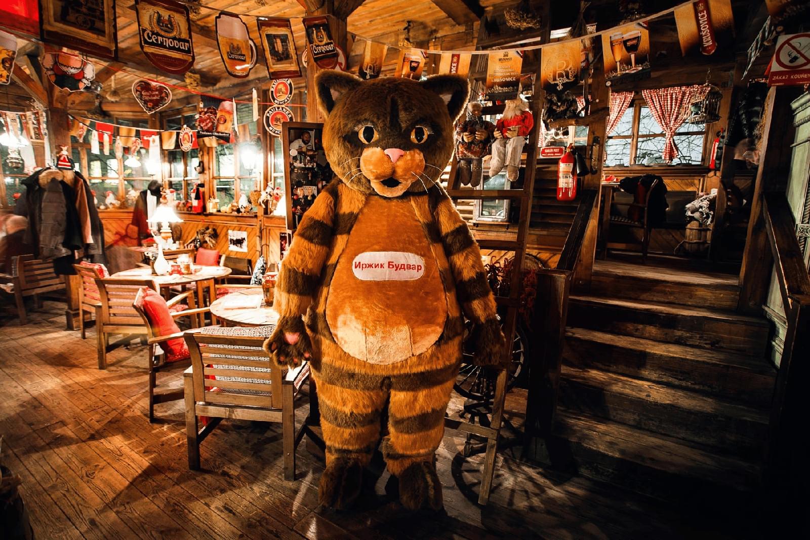 фото Будвар