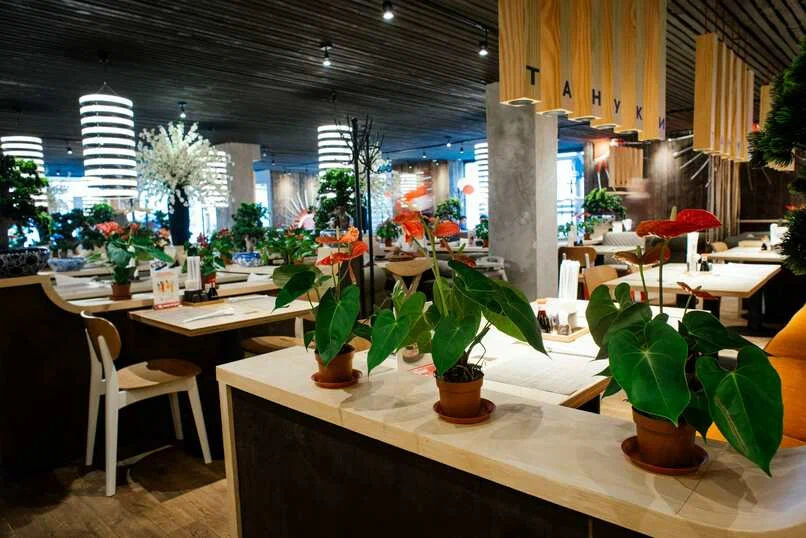 фото ресторана #4146